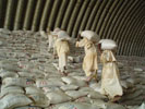 WFP aid storage WFP aid storage